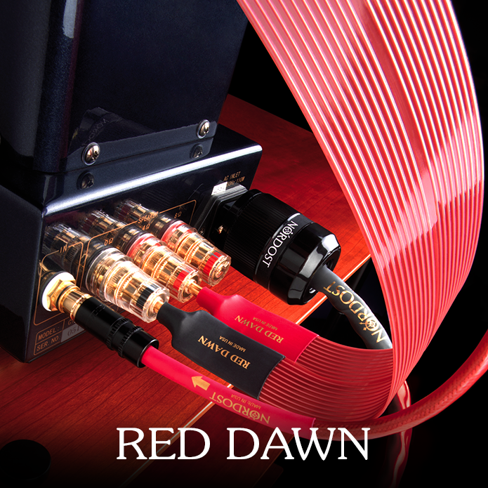 Red Dawn_leif landing